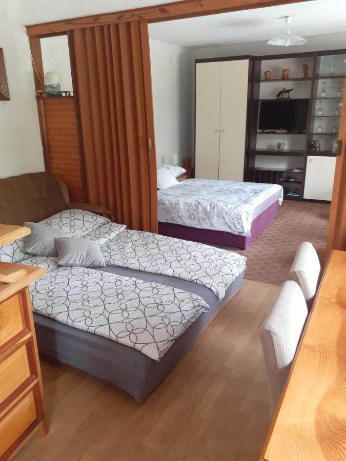 Appartement Sokol à Ogulin Extérieur photo